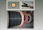 CXV 0.6/1kV cable